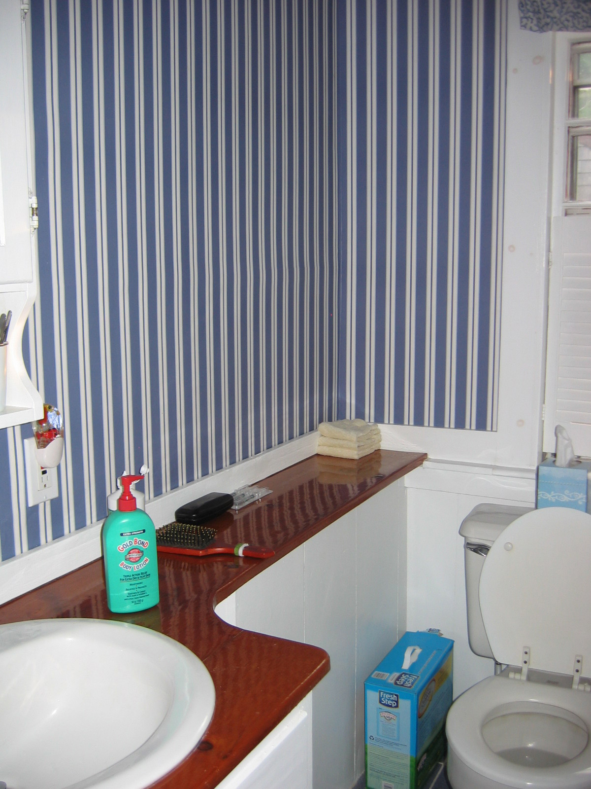 Before: Traditional Bathroom