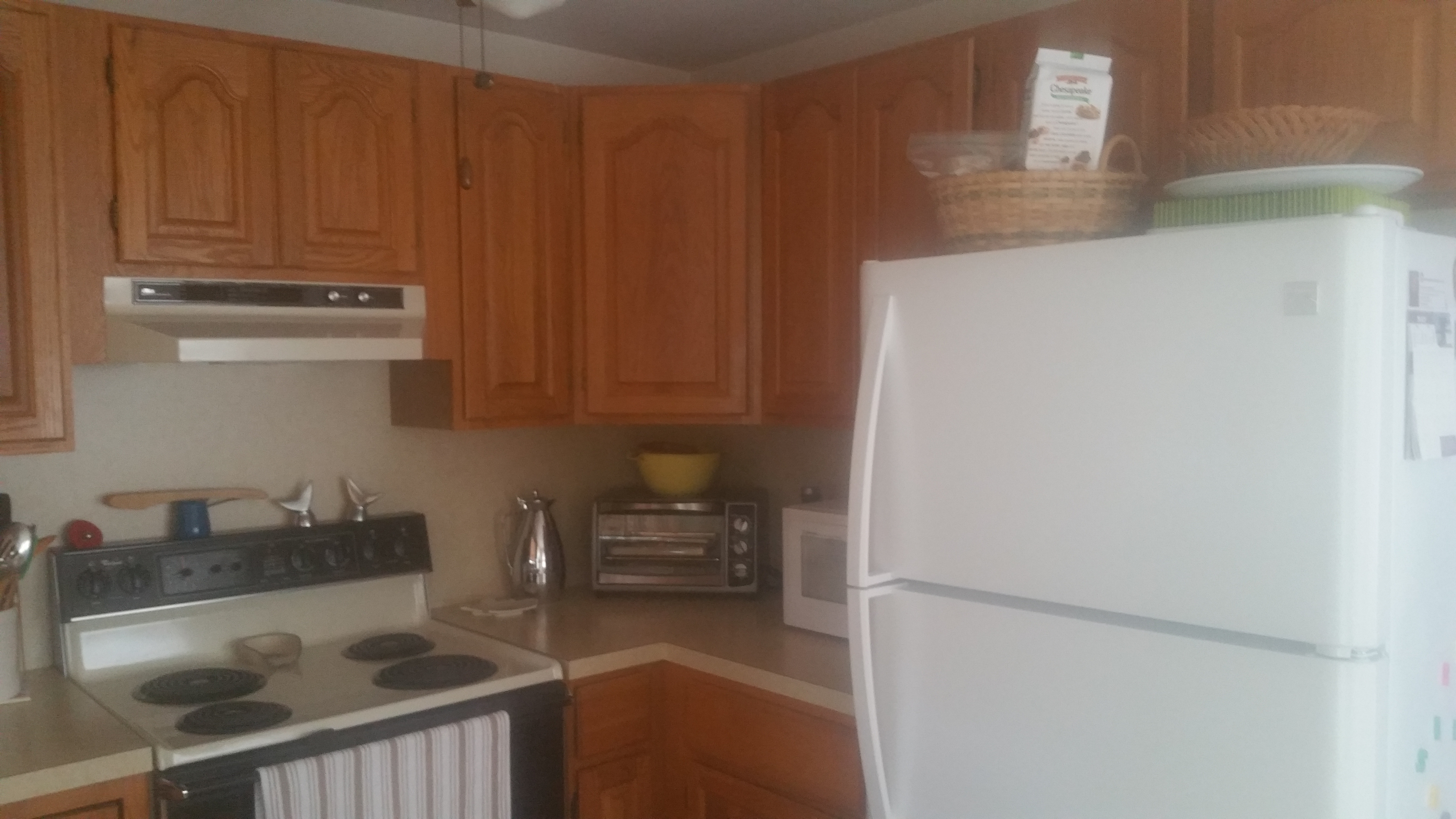 Before: Dark Traditional Kitchen